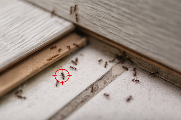Best Commercial Pest Control Services  in Saratoga Springs, NY