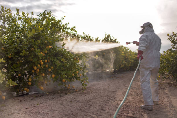 Best Termite Control Services  in Saratoga Springs, NY