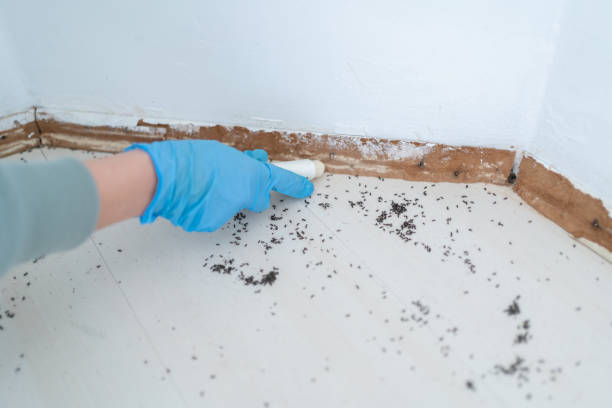Wildlife Control Services in Saratoga Springs, NY