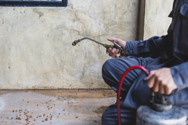 Best Best Pest Control Companies  in Saratoga Springs, NY